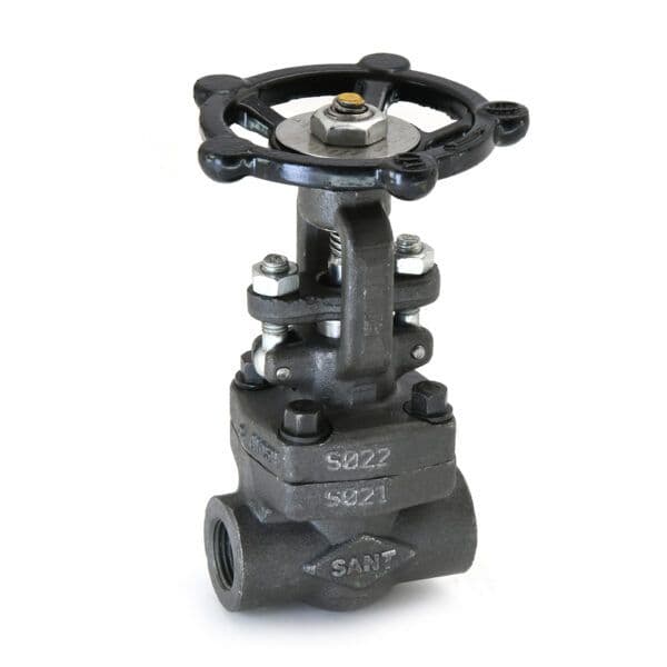 Sant Forged Steel Gate Valve FSV 1B