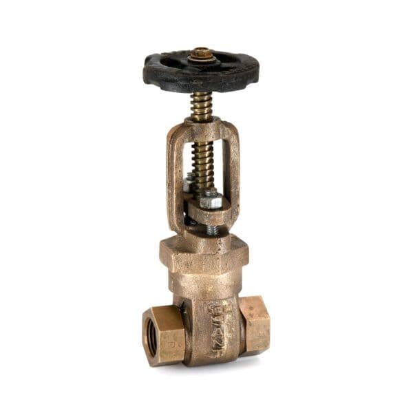 Sant Bronze Gate Valve IS 33
