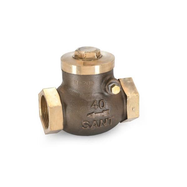 Sant Bronze Swing Check Valve IS 35A