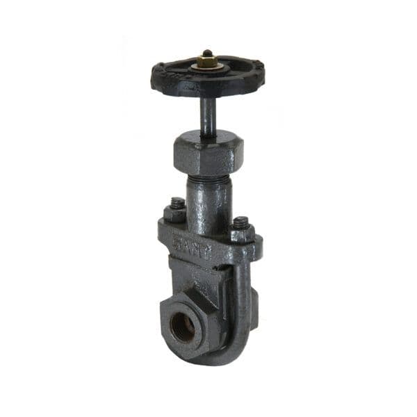 Sant C.I. Gate Valve CI 14