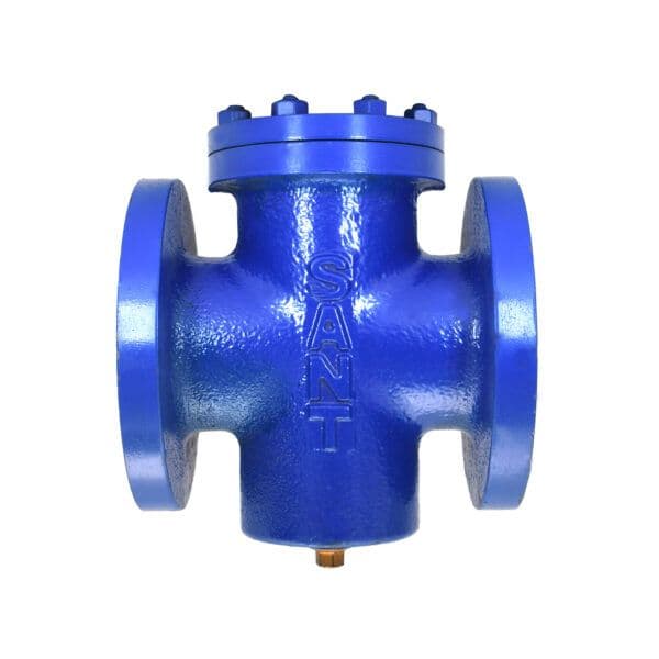 Sant C.I. 'T' Strainer Flanged CI 19