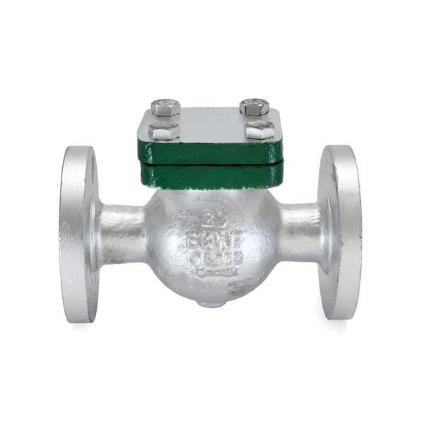 Sant Cast Steel Swing Check Valve CS 8