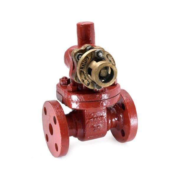 Sant Cast Steel Parallel Slide Blow Off Valve CS 4A
